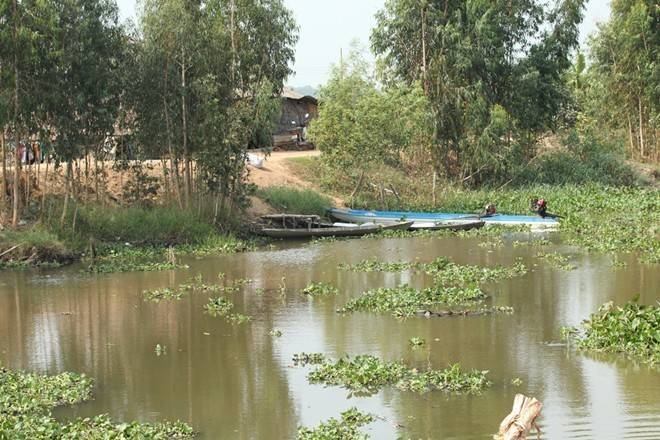 Nông dân Long An mong ngóng những 'Nhịp cầu ước mơ'