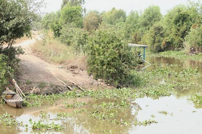 Nông dân Long An mong ngóng những 'Nhịp cầu ước mơ'
