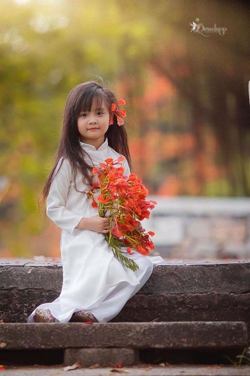 Sắc hoa phượng đỏ rực làm nao lòng người mỗi mùa chia tay trường lớp.