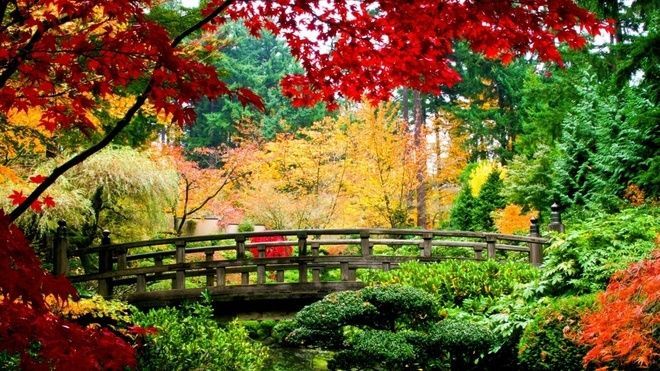Image result for Những khu vườn đẹp nhất nước Mỹ mùa thu