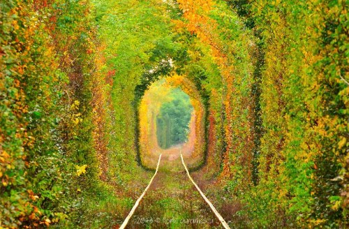Đường hầm tình yêu nổi tiếng tại Ukraine. Con đường này nằm giữa Klevan và làng Orzhiv, trên đường ray Kovel - Rivne. Theo một số nguồn tin, đoạn đường phủ cây xanh chỉ dài khoảng 3 - 4 km. 