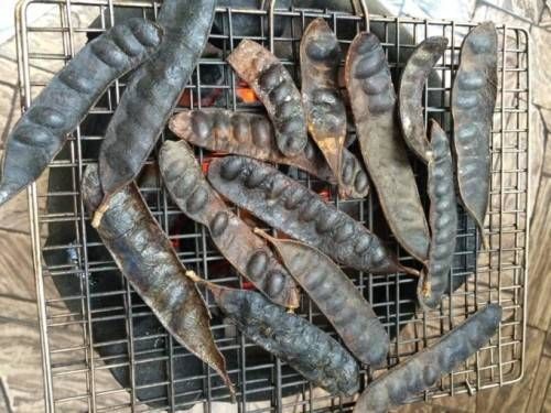 Đốt bồ kết phơi khô, cây hương nhu, cây gỗ thơm, vỏ bưởi, bã mía... với lượng vừa phải thì căn nhà sẽ có mùi thơm của tự nhiên, đồng thời muỗi cũng theo đó mà bay ra ngoài.