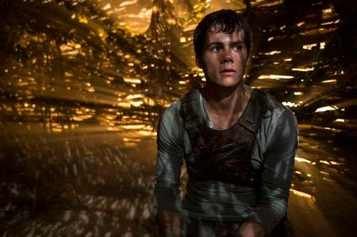 This photo released by Twentieth Century Fox shows Dylan O'Brien as Thomas in the film, "The Maze Runner." The movie releases in the U.S. on Sept. 19, 2014. (AP Photo/Twentieth Century Fox, Ben Rothstein)