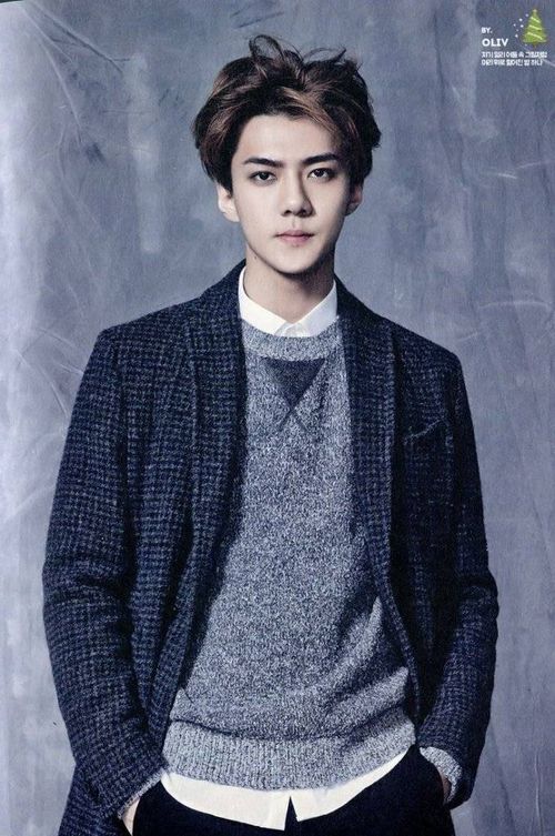 Câu chuyện casting của Sehun nhóm EXO thú vị không kém. Nam ca sĩ khi đó chỉ là một chàng thiếu niên đang ăn bánh gạo trên phố thì người quản lý tuyển chọn của SM đến trò chuyện. Sehun tưởng người này biến thái nên đã bỏ chạy. Nhưng cuối cùng, khi “tóm” được Sehun sau 30 phút, người quản lý mới giải thích rõ sự tình.