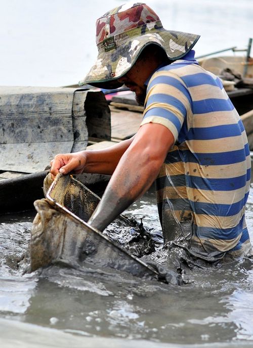 Hiện có khoảng 30 người ở khắp các tỉnh thành như Đồng Nai, TP HCM, Long An... làm nghề đãi trùn. Phương tiện của họ gồm thuyền, vợt lưới và các loại vật dụng chứa trùn.