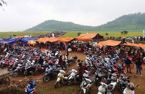 Bãi đỗ xe chật kín - (Ảnh: songlamplus).