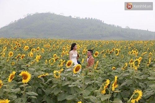 Một đôi tình nhân đang chụp ảnh cưới tại nơi đây - (Ảnh: Phương Thảo).