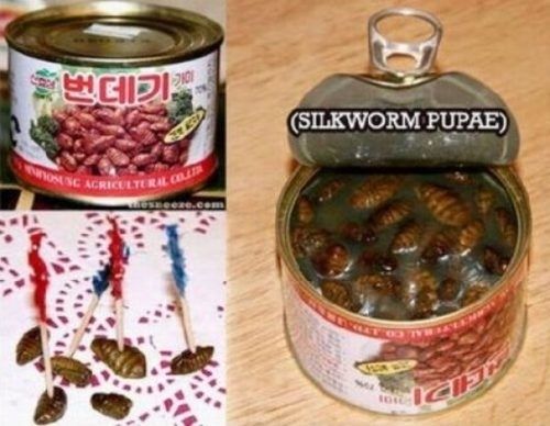 Thucphamdonghop (7)