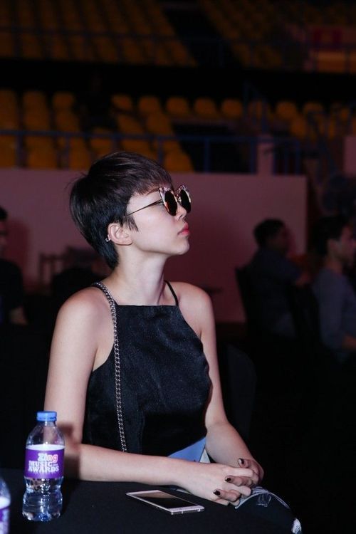 Trong Hieu (18)