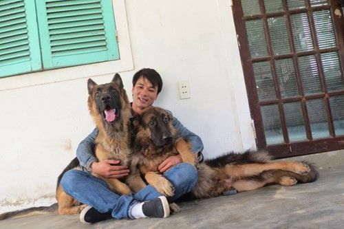 Hai chú chó thân thiết với Sơn