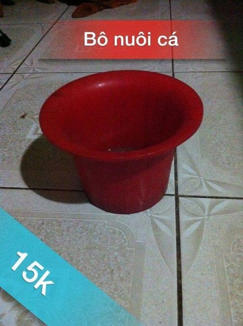 "Hàng mới về".