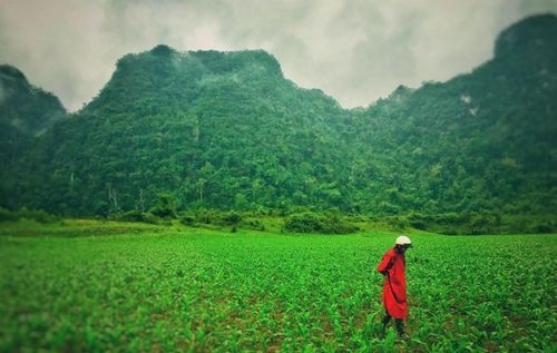 vietnamdep06