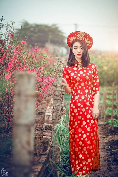 NguyenLyHaiAnh0 (5)