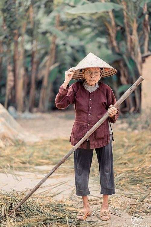 Bộ ảnh cúc họa mi ‘phiên bản’ bà ngoại khiến người ta phải mỉm cười ngay lập tức! - Ảnh 5.