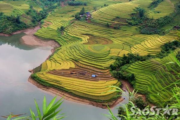 Lao Cai 1