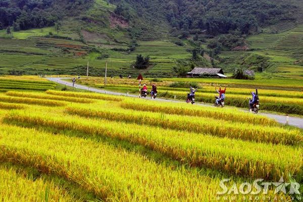 Lao Cai 10