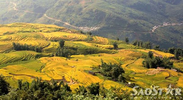 Tiếp tục từ Sàng Ma Sáo, chạy xe qua Dền Sáng bạn sẽ ghé thăm vùng đất trên trời Y Tý, nơi được mệnh danh là thiên đường lúa - mây của Việt Nam. Đây là xã vùng cao giáp biên với Trung Quốc nằm trên độ cao 2000m so với mực nước biển, với những thung lũng lúa đẹp nhất tỉnh Lào Cai.