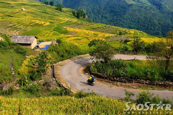 Tiếp tục từ Sàng Ma Sáo, chạy xe qua Dền Sáng bạn sẽ ghé thăm vùng đất trên trời Y Tý, nơi được mệnh danh là thiên đường lúa - mây của Việt Nam. Đây là xã vùng cao giáp biên với Trung Quốc nằm trên độ cao 2000m so với mực nước biển, với những thung lũng lúa đẹp nhất tỉnh Lào Cai.