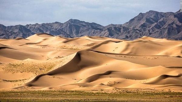 Khác với sa mạc Sahara, Gobi chỉ có khoảng 3% là đụn cát, phần còn lại được đá, đồng cỏ khô và sỏi bao phủ. Với khí hậu vô cùng khắc nghiệt song số lượng động vật lại vô cùng phong phú với lạc đà 2 bướu, dê rừng, sói và đại bang vàng.