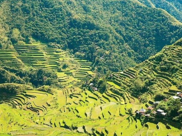 Khoảng 1500 người dân của làng Batad sống ẩn mình trong màu xanh ngút ngàn của tuộng bậc thang trồng lúa Ifugao. Không có con đường nào vào làng nhưng bạn có thể men theo những con đường mòn. Đây sẽ là trải nghiệm mà bạn không thể có được ở những nơi khác.