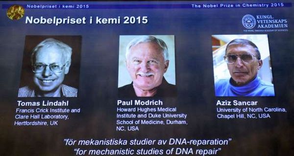 Giải Nobel Hóa học 2015 đã được trao cho các nhà khoa học Tomas Lindahl, Paul Modrich và Aziz Sancar. Ba nhà khoa học xuất chúng này đã có các phát hiện giúp lập bản đồ và giải thích cách thức tế bào sửa chữa dữ liệu di truyền (ADN), qua đó bảo vệ thông tin về gene. Theo đó, các nghiên cứu của họ đã mang tới kiến thức nền tảng, về việc một tế bào sống hoạt động ra sao và được sử dụng như thế nào trong sự phát triển các biện pháp điều trị ung thư mới.