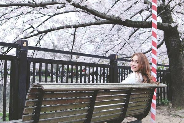 Hiện tại, Mỹ Tâm cùng với ê-kíp tất bật chuẩn bị cho đêm nhạc đặc biệt tại Hà Nội vào ngày 20/10.Trong đêm nhạc này, ngoài những bản hit gắn liền với tên tuổi của nữ ca sĩ, khán giả Thủ đô sẽ có cơ hội thưởng thức loạt ca khúc mà cô chưa từng thể hiện trên sân khấu lớn bao giờ như Một mình của nhạc sĩ Thanh Tùng, Tóc gió thôi bay, Về đi em của nhạc sĩ Trần Tiến.