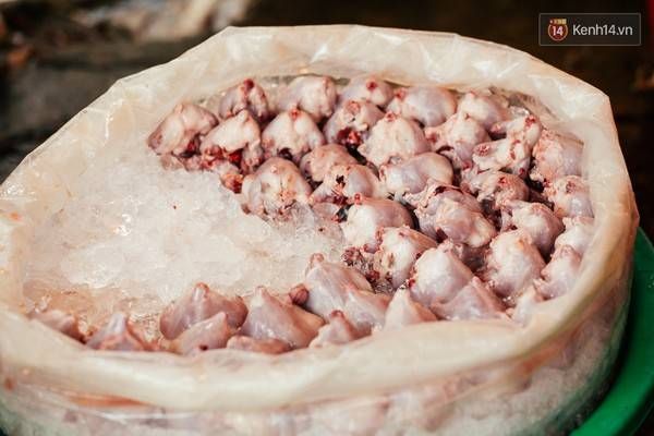 Sau đó ướp với đá để chuyển đi bỏ mối tại các nhà hàng.