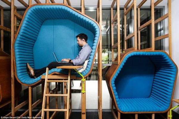 Bàn làm việc của các lập trình viên và sáng tạo viên của Google là những tổ chim độc đáo như thế này.