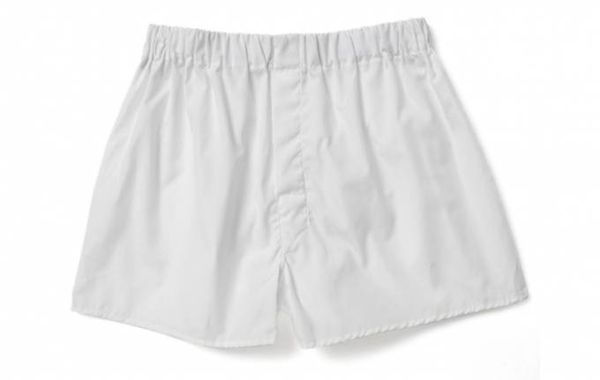 JamesBondUnderwear (1)