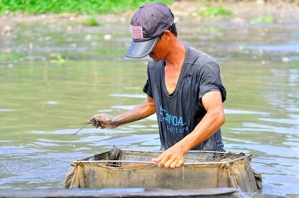 "Ngày nào may mắn, gặp điểm có nhiều trùn thì được khoảng 20 lon, bán được gần 200.000 đồng. Có những hôm đãi từ mờ sáng đến trưa nhưng thu nhập chưa đến 100.000 đồng", một ngư dân cho biết.