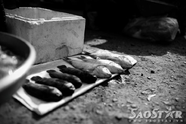 DSC_3990