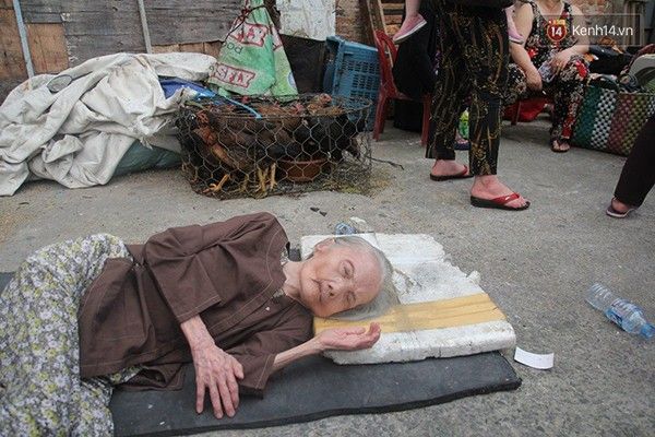 Chaychogagaoquan1