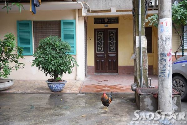 ChungcuThuyLoiHaNoi (2)