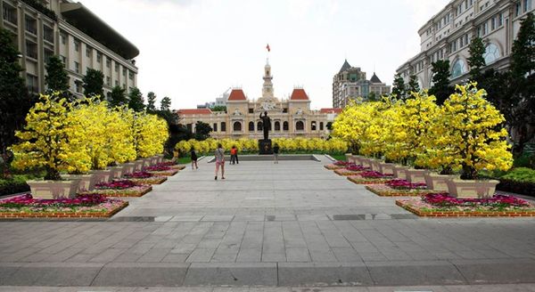 Đường hoa 2016 trải dài suốt phố đi bộ Nguyễn Huệ (từ giao lộ đường Lê Thánh Tôn tới đường Tôn Đức Thắng) với tổng chiều dài khoảng 720 m. Khu vực Tượng đài Bác được bố trí 36 chậu mai, gồm 18 chậu 2 bên tạo thành đường dẫn hướng đến Tượng đài Bác, hai hàng mai bố trí phía sau lưng tượng đài mang đến màu sắc xuân đặc trưng của Tết Miền Nam.