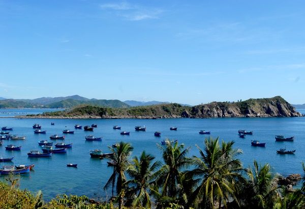 Vinh xuan dai
