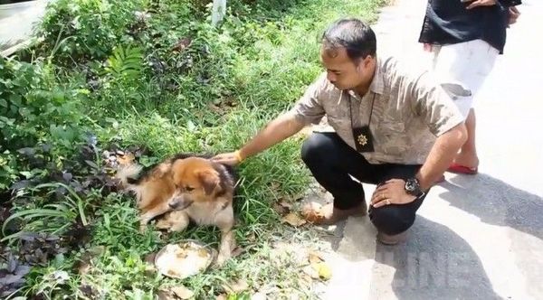 4 chuchotrungthanh