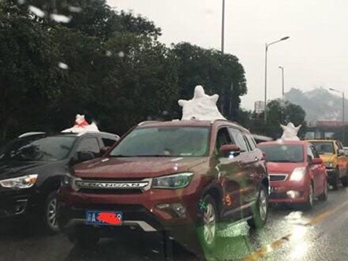 2 tq