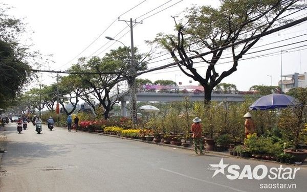 khongkhiTetSaiGon2016 (17)