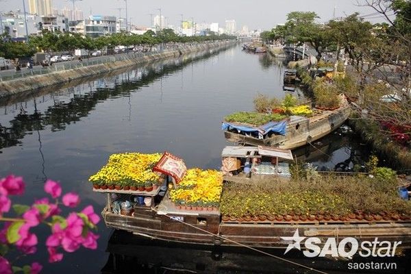 khongkhiTetSaiGon2016 (24)