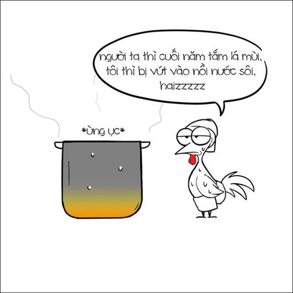 Chuyenconga (25)