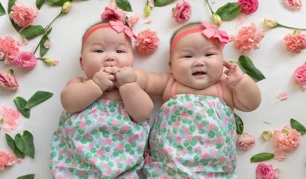 Vẻ bụ bẫm, ú na ú nần của hai bé khiến người xem không thể rời mắt.