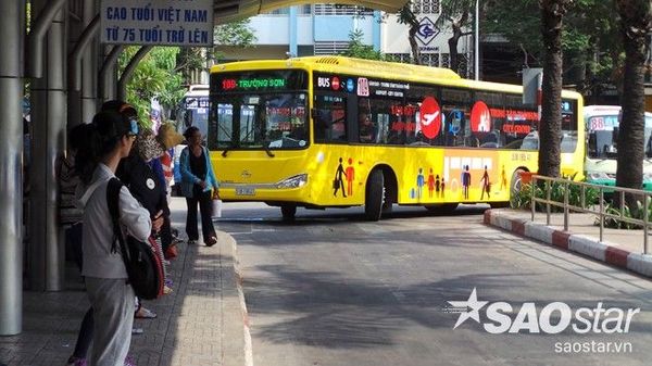 Xe bus 5 sao 5