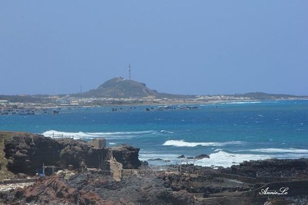 daophuquy01