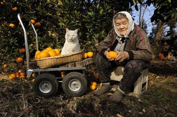 Fukumaru luôn bên cạnh cụ bà Misao.