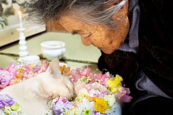 Fukumaru đã qua đời sau một thời gian dài chiến đấu với căn bệnh suy thận.
