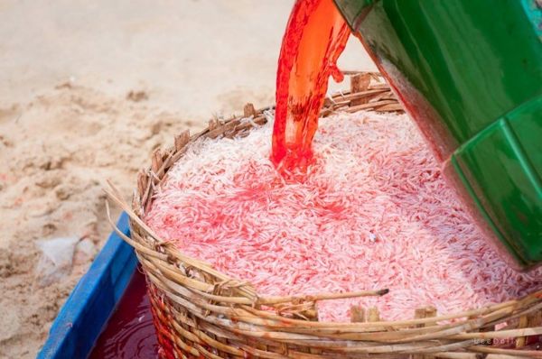 Cận cảnh 'màn ảo thuật' hô biến ruốc trắng thành ruốc đỏ.