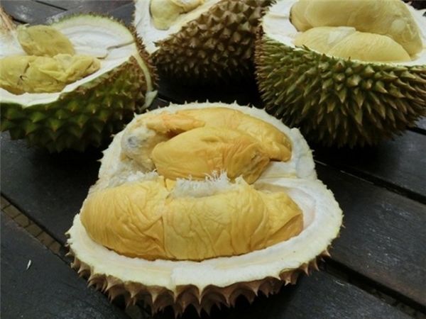Sầu riêng là món ăn gây nhiều tranh cãi, người gì cho rằng mùi vị của nó ngon tuyệt hảo, người thì phải bịt mũi từ xa.