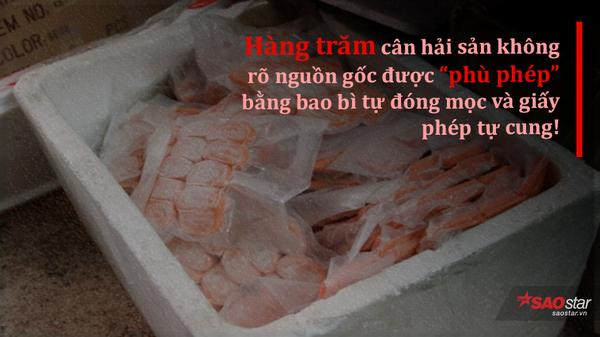 Việt Kiều Hồi Hương - "Việt Kiều Bay" Hai Mang Hinh5
