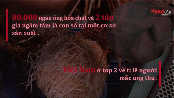 Việt Kiều Hồi Hương - "Việt Kiều Bay" Hai Mang Hinh8-1