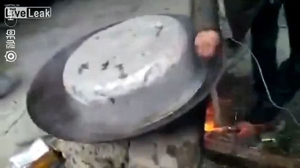 Chú chó vùng dậy chạy thoát dù bị luộc sống, vặt lông khiến nhiều người xót xa